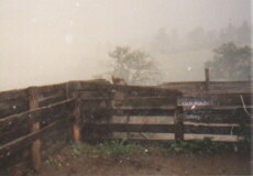 Gewitter auf der Lake Ranch